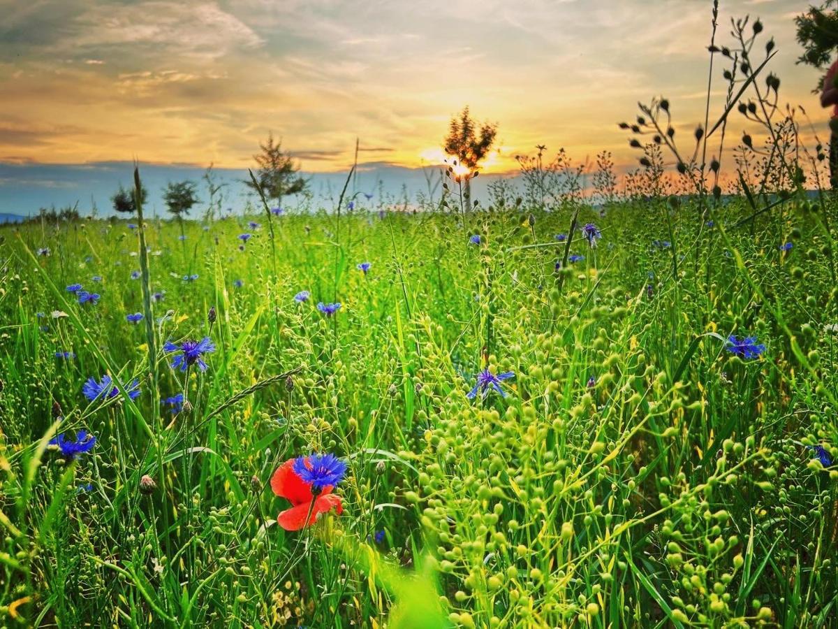 Ferienwohnung Landliebe รูโดลชตัดท์ ภายนอก รูปภาพ